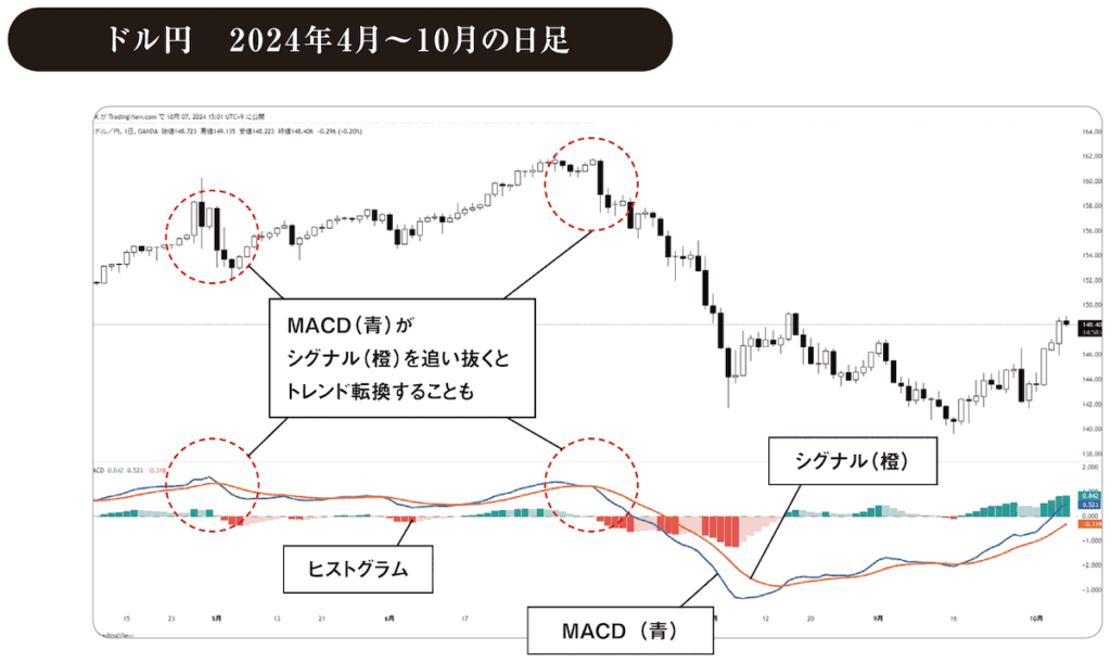 MACDドル円　2024年4月～10月の日足チャート