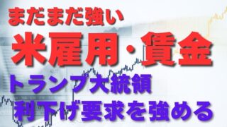 【FX為替相場見通し】トランプ米大統領「FRBに利下げ要求」を強める